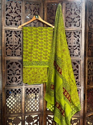 Bagh Handblock Cotton Suit